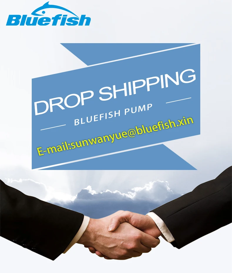 drop shipping