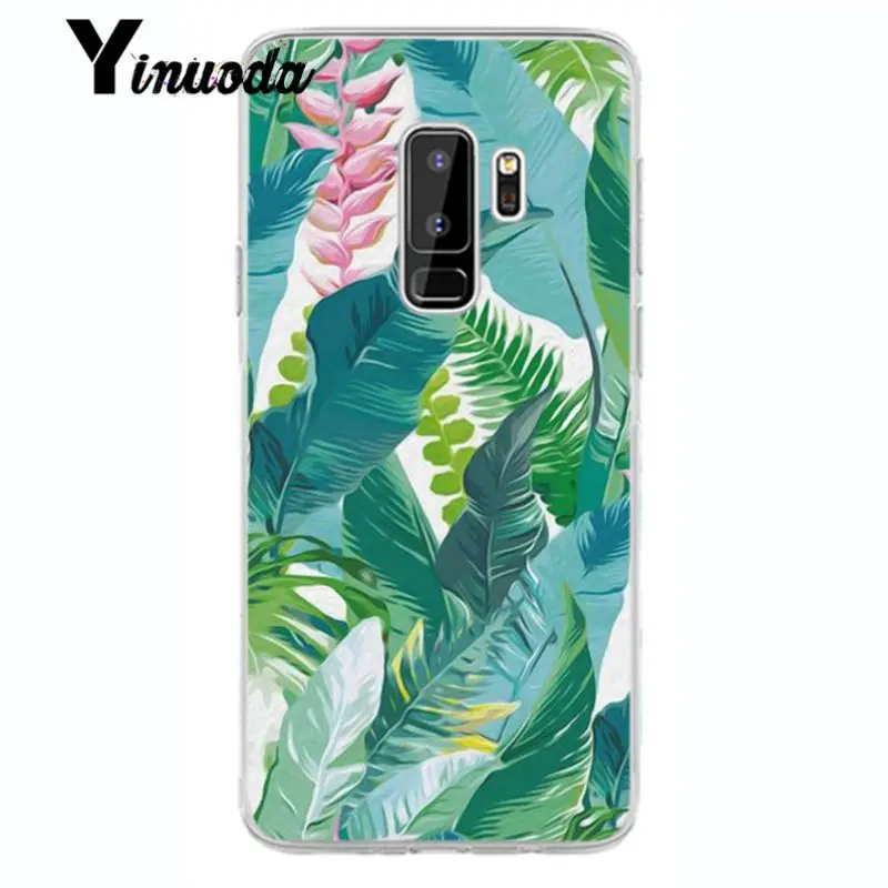 Flower Cherry Tree Candy Colors Leaves 