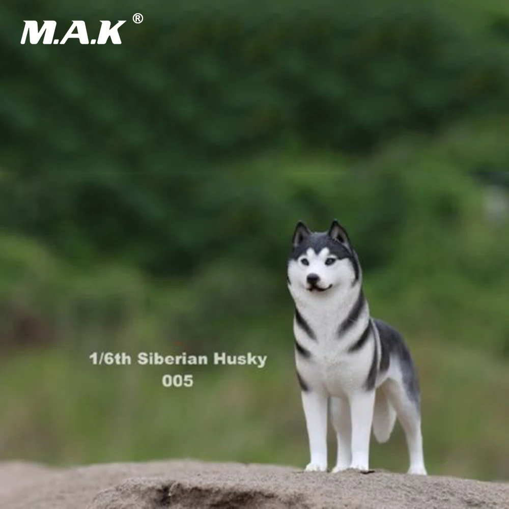 1:6 весы собака модель фигурку аксессуар Сибирского Хаски моделирование Животные