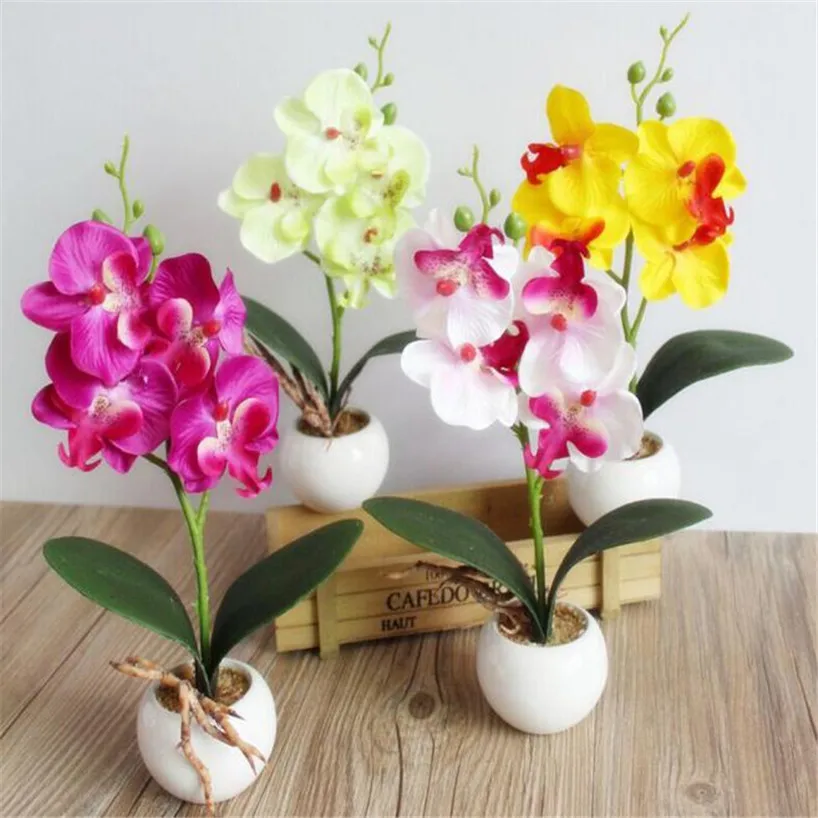 Orchid creative house Orchid creative house