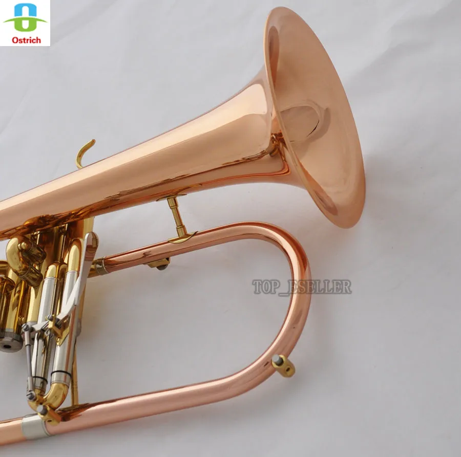 s-l1600 (4)