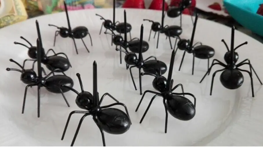 5721229087_1838375206