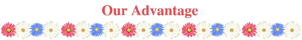 3.Our Advantage