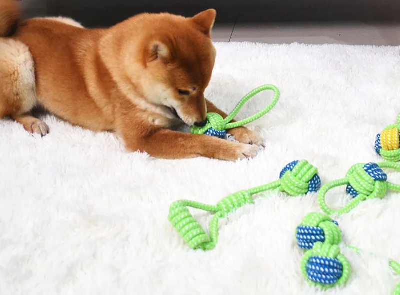 Puppy dog toys