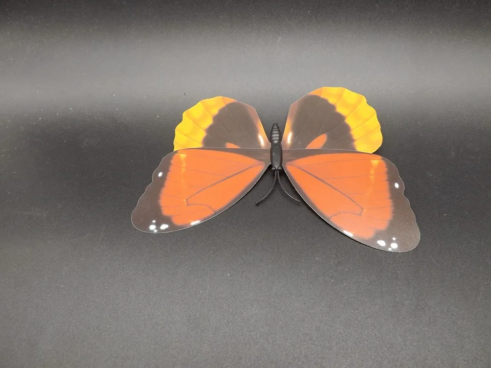 I227-Butterfly (7)