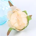 Buds flower heads b
