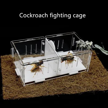 

Transparent Acrylic Cockroach Cage Singer Reptile Cage Fighting Cage