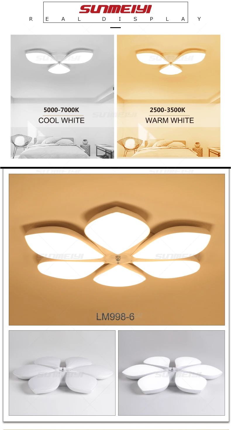 Ceiling Lights04