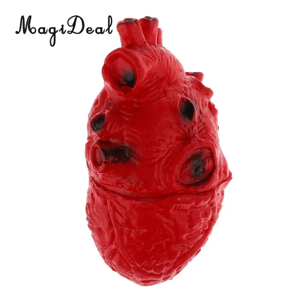 Lifelike Human Heart Model-Chop Shop Body Part Organ Halloween Horror Prop Decorations School Lab Supplies Student Toy 16cm