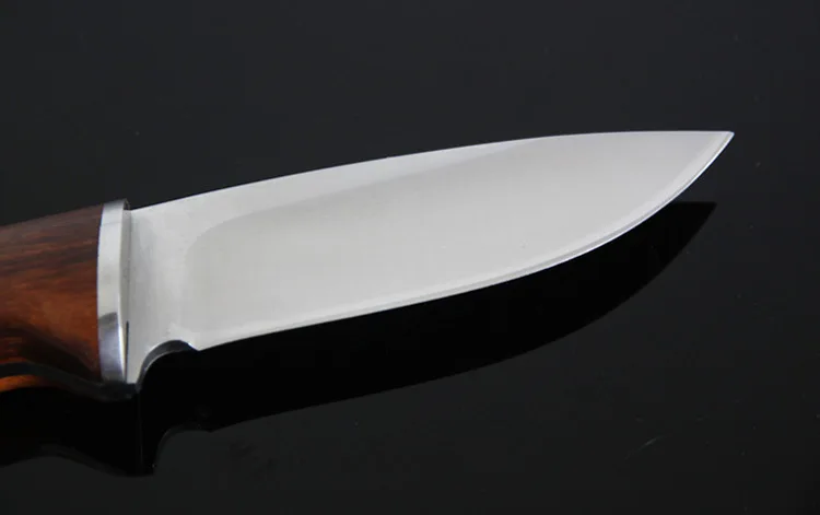 3102998054_620291727