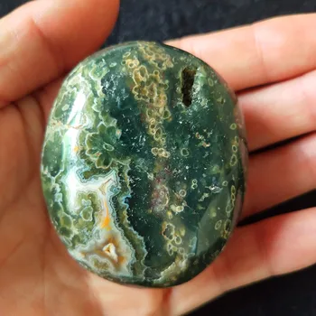 

Natural stone Marine jasper palm healing crystals Decorative collection stones and crystals