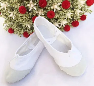 Брезентовые балетные туфли для танцев; обувь для тренировок; дышащие тапочки для фитнеса; для детей; для девочек; для женщин; 10 цветов - Цвет: as picture