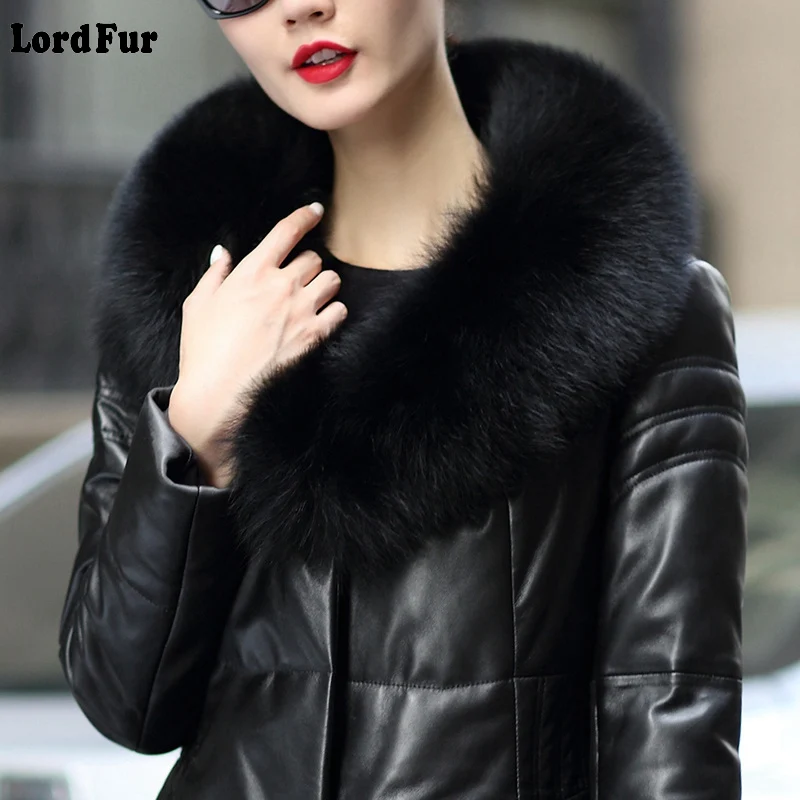 LF4043 (2)