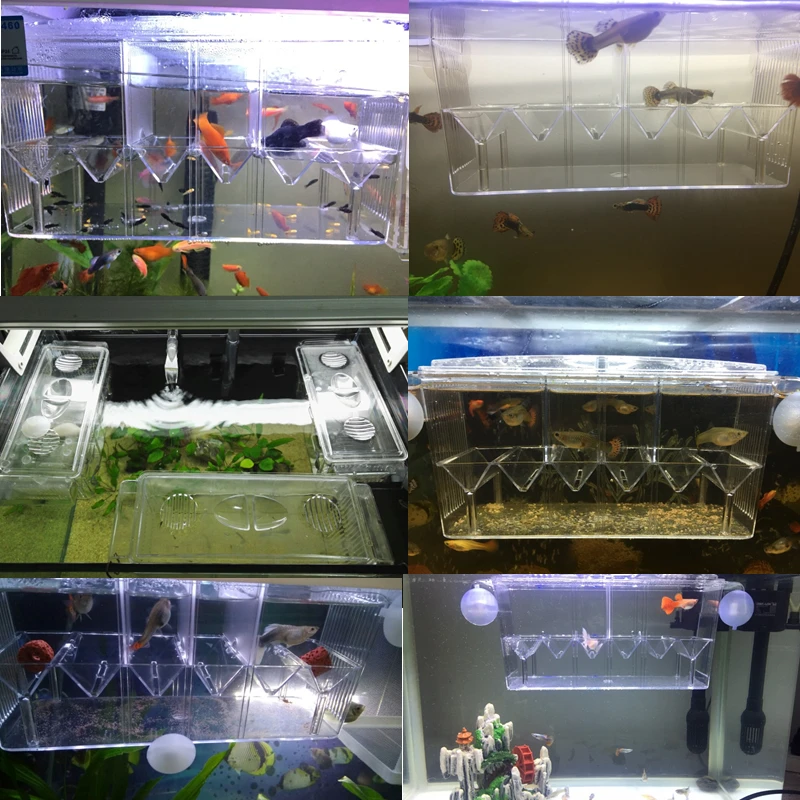 Title 12, Big Size 4 Rooms Aquarium Acrylic Four Splits B...