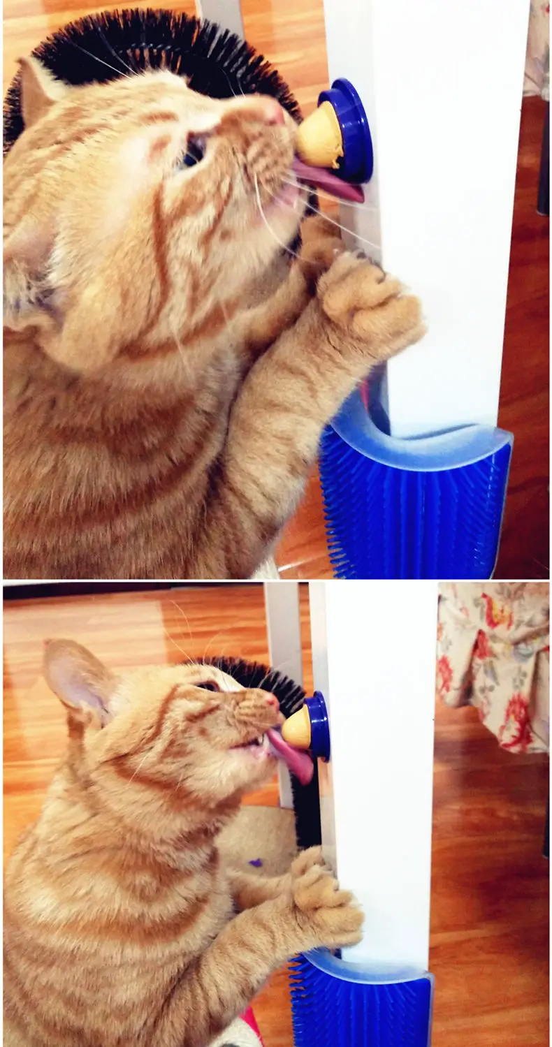 Pet Cat Snack Sugar Pill витамин твердый питательный крем мята лизуя мяч котенок закуска кошка конфеты