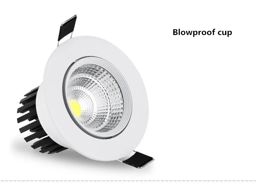 COB cell light (6)