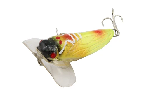 noisy topwater lures