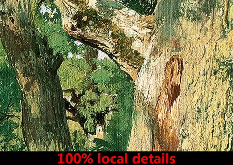 36020171117144928235