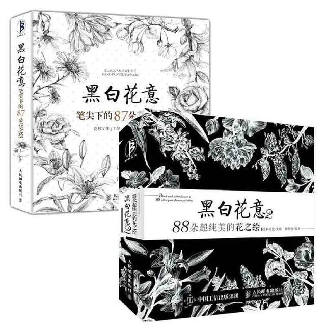 

2 Books/Set Black and White Sketch Pencil Painting Techniques Adult Painting Basics Drawing Coloring Books Art Book