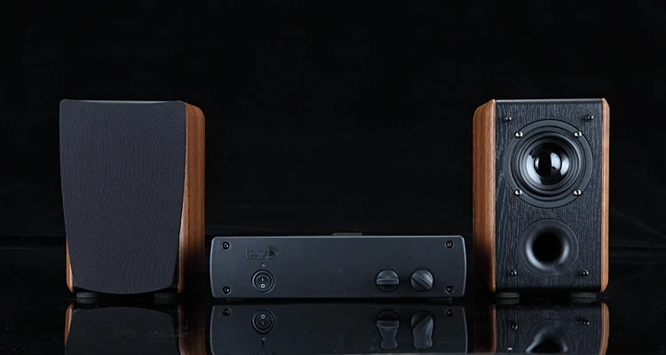 audiophile mini system