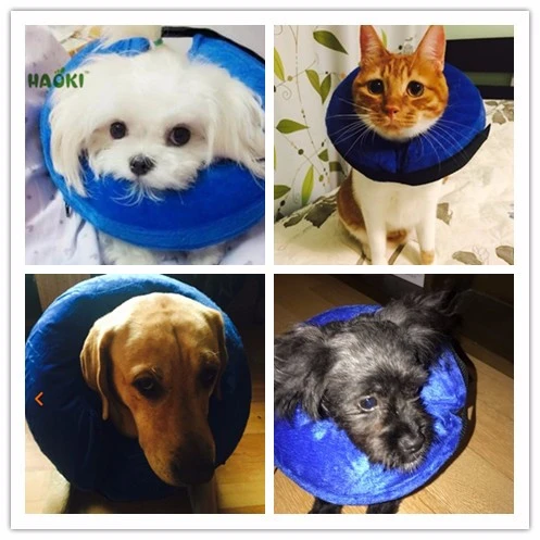 pet supplies free shipping