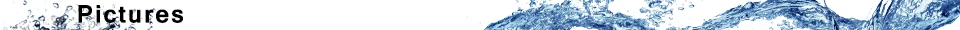 Pictures