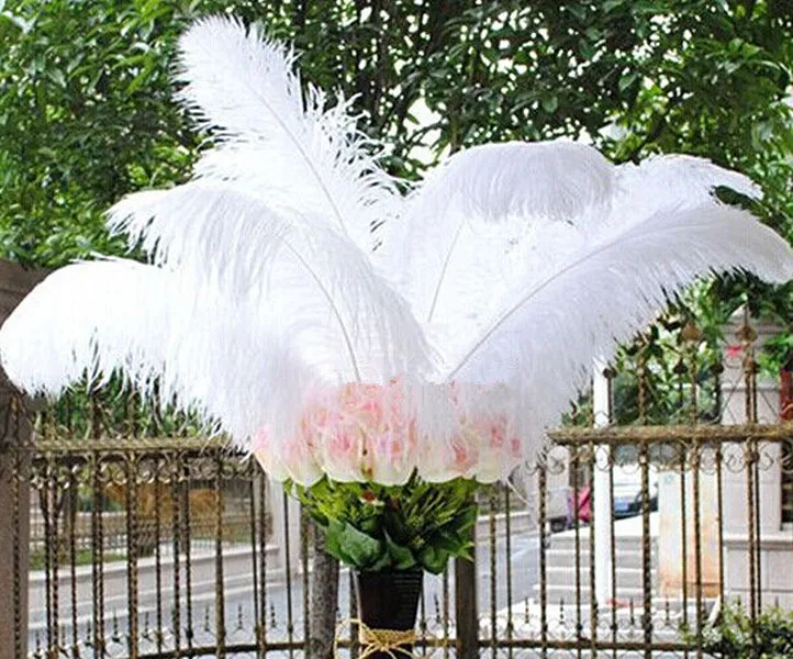 

wholesale 50pcs High quality natural white selection ostrich feathers 6-24inch/15-60cm diy Decoration stage performance