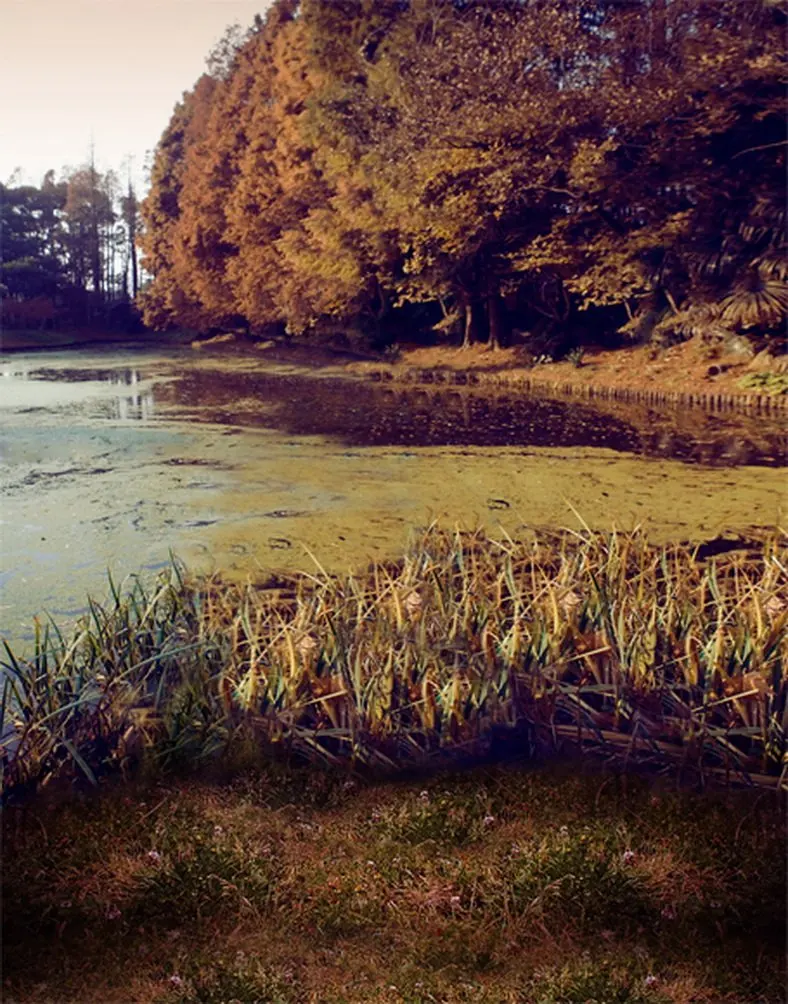 

5x7ft River Tree Grass Photography Backdrops Photo Props Studio Background
