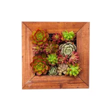 Caioffer Modern Square Flower Pots Shapes Garden Wooden Wall Mounted Flowerpots Decorative Hanging Planters For Succulents