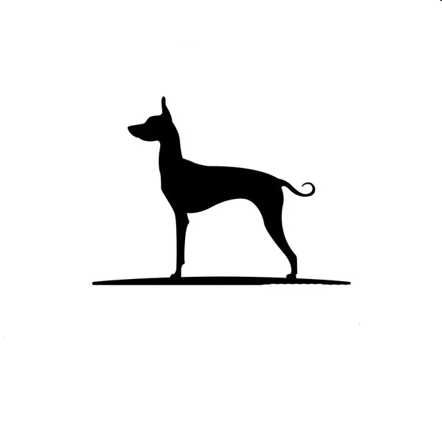 Thatlilcabin My Basenji Is My Copilot 6 AS1364 Car Sticker Decal