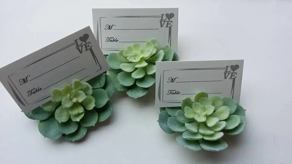 50pcs/Lot+Spring Wedding Favors Green Succulent Place Card/Photo