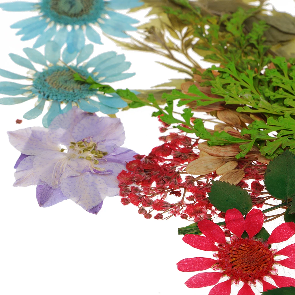 Pack of 50pcs Natural Dried Flower Real Flower Mixed For DIY Resin Ornament Craft Card Making Scrapbooking Embellishments