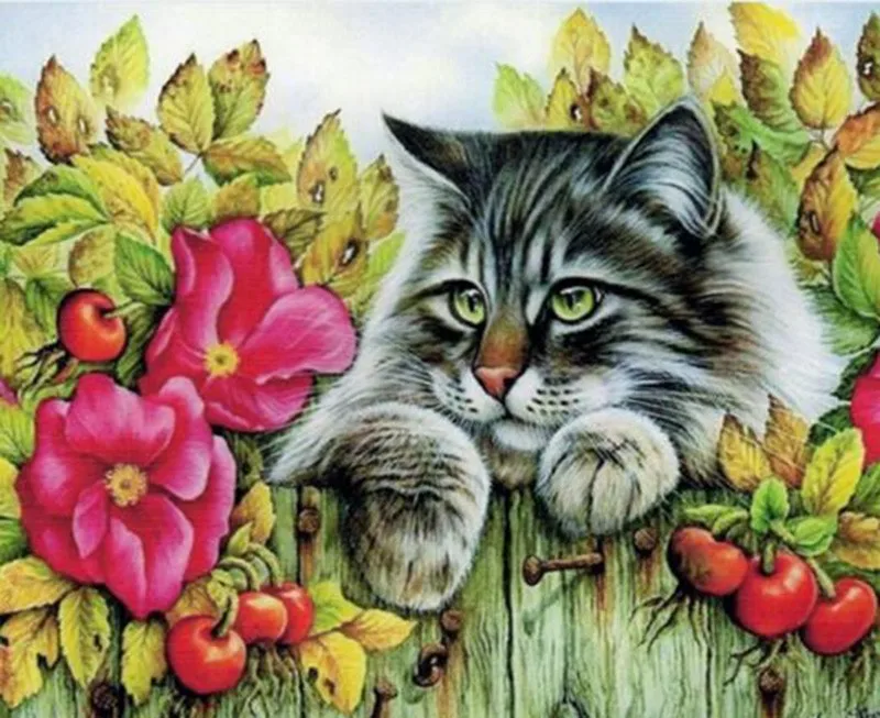 HTB19k4GhdzJ8KJjSspkq6zF7VXaF