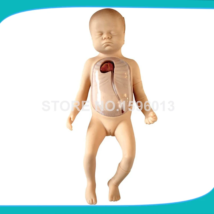 PICC for Neonates model.Neonatal Peripheral and Central Vein Intubation Model,Neonates Peripherally Inserted Central Catheter mooren s ulcer and peripheral ulcerative keratitis