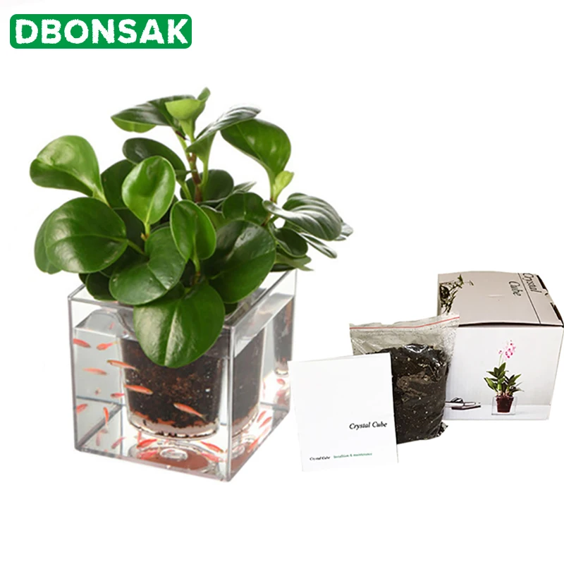 

Transparent Flower Pot Automatic Water Absorption Pot Automatic Irrigation Hydroponic Plastic Vase Desktop Square Fish Tank