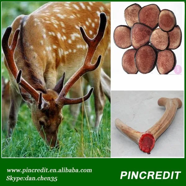 10 1 Deer Antler Velvet Lu Rong Cornu Cervi Tcm Herb Medicine 10-1-deer-antler-velvet-lu-rong-cornu-cervi-tcm-herb-medicine