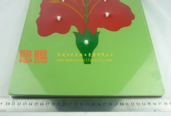 P1070694600