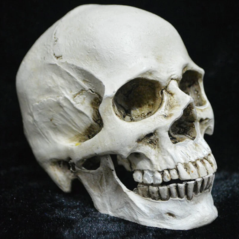

Simulation Skull Tooth Separation Toys Halloween Resin Gags Skull Action Figure Tricky PVC Toy 7*9cm for Christmas Gift N039