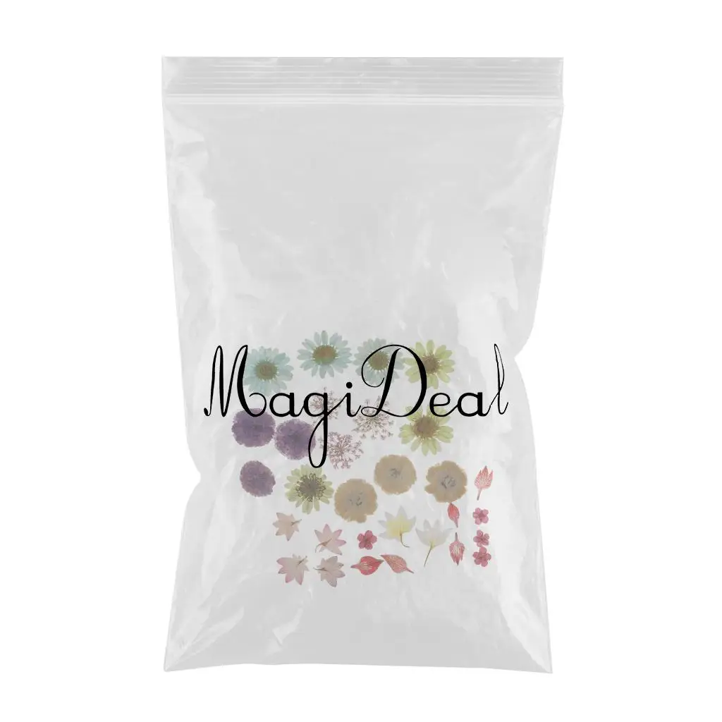 Pack Of Natural Dried Flower Real Flower Mixed For DIY Resin Ornament Craft Card Making Scrapbooking Embellishment Floral Design