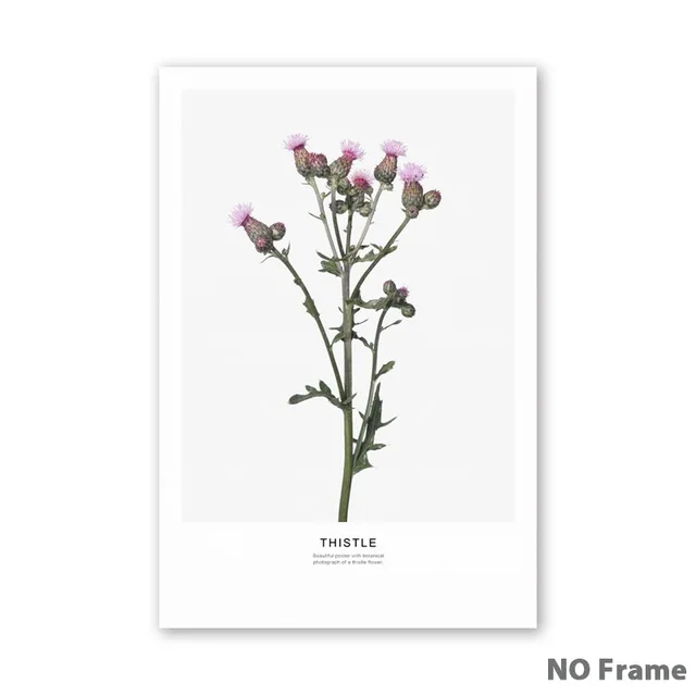 Simple-Nordic-Flower-Lotus-Brassica-Magnolia-Canvas-Art-Prints-posters-Living-Room-Wall-Pictures-Home-Decor.jpg_640x640 (3)