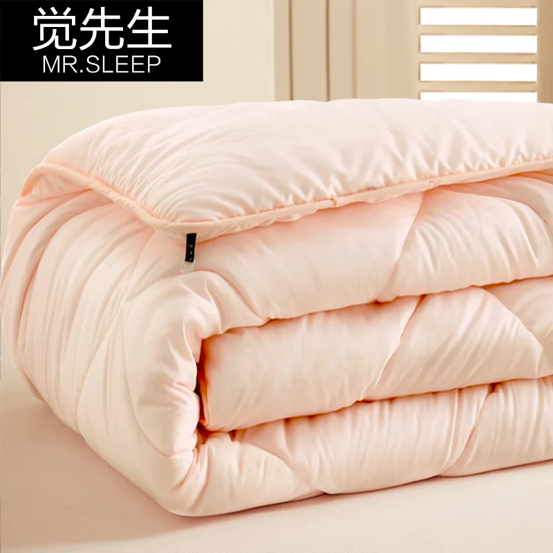 

Winter Quilt Cotton Quilt Core Spring And Autumn Single Double Quilt In Autumn And Winter Thicken Warm Cotton Space Quilt In Win