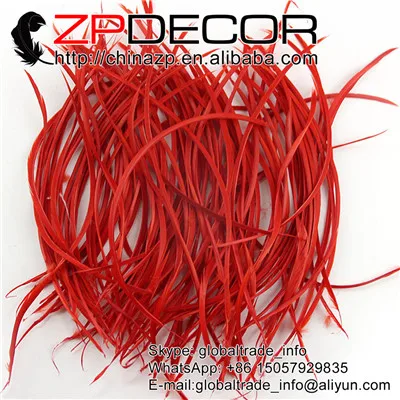 Zpdecor 200 шт/партия 20-25 см(8-10 дюймов) галстук-бабочка Премиум яркий белый большой Биот гусиные перья для карнавальный головной убор Декор - Цвет: Red