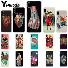 Yinuoda Medical Human Organs Brain Meridian Kidney Art TPU Phone Cover for iPhone X XS MAX 6 6S 7 7plus 8 8Plus 5 5S XR Yinuoda Medical Human Organs Brain Meridian Kidney Art TPU Phone Cover for iPhone X XS MAX 6 6S 7 7plus 8 8Plus 5 5S XR