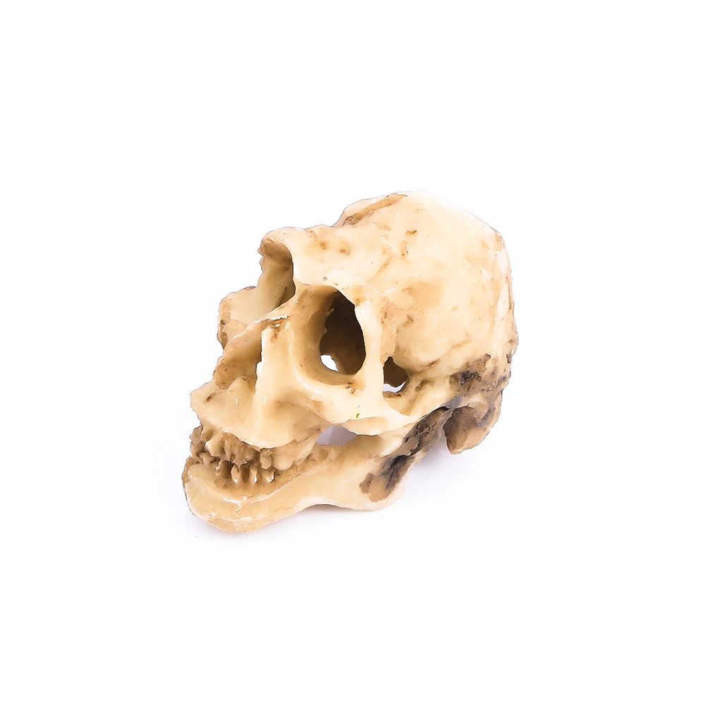 

Aquarium Decorative Resin Skull Decoration Aquarium Fish Tank Landscape Decoration Ornaments Size: APP 5*3*4 CM