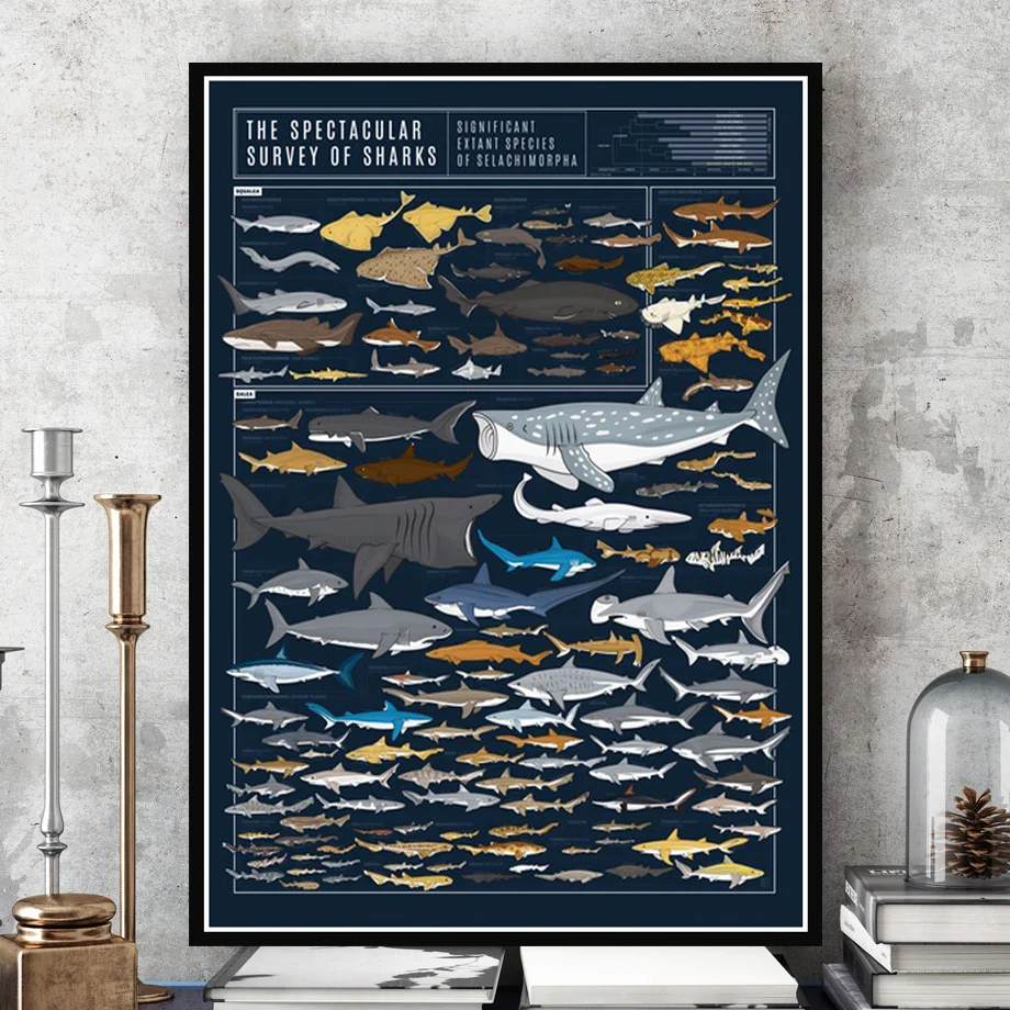 

New The Specacular Survey Of SHARKS Animal Chart Poster Prints Canvas Art Oil Painting Wall Pictures For Living Room Home Decor