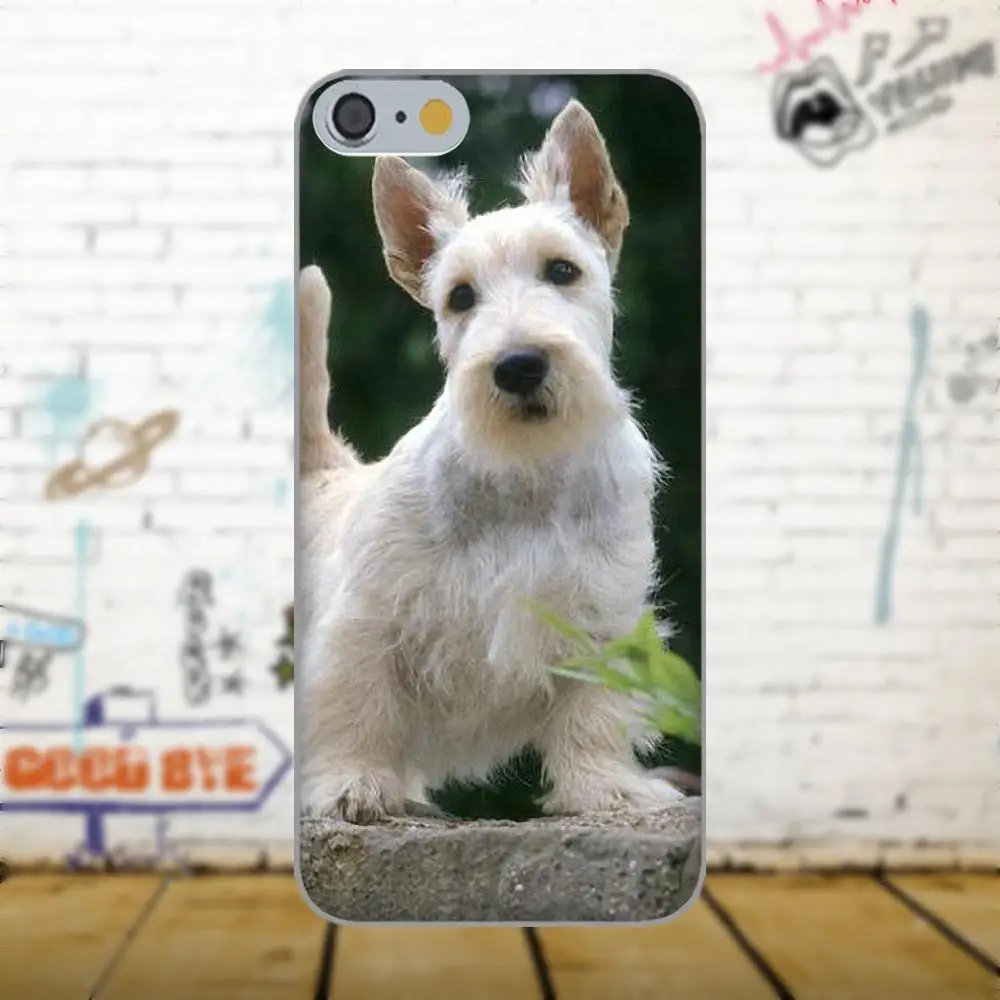 Шотландского терьера Собака Щенок щенков для Apple iPhone X 4 4S 5 5C 5S SE 6 6S 7 8 плюс LG G3 G4 G5 G6