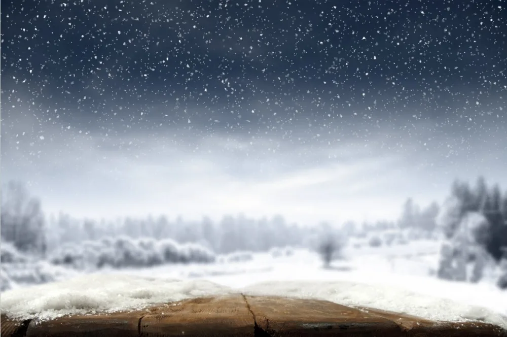 

3m*2m Vinyl Custom Christmas Photography Backdrops Prop Photo Studio Background HU-06260