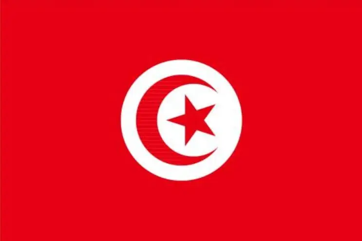 xvggdg Tunisia флаг Туниса 3ft x 5ft висячий флаг Туниса полиэстер Стандартный флаг баннер