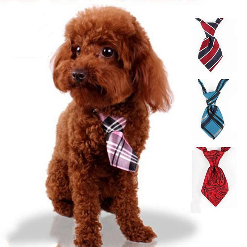 10pcs/lot Colorful Cheap Pet Dog Tie Collars Bows Grooming Puppy Cat Free Size Chihuahua