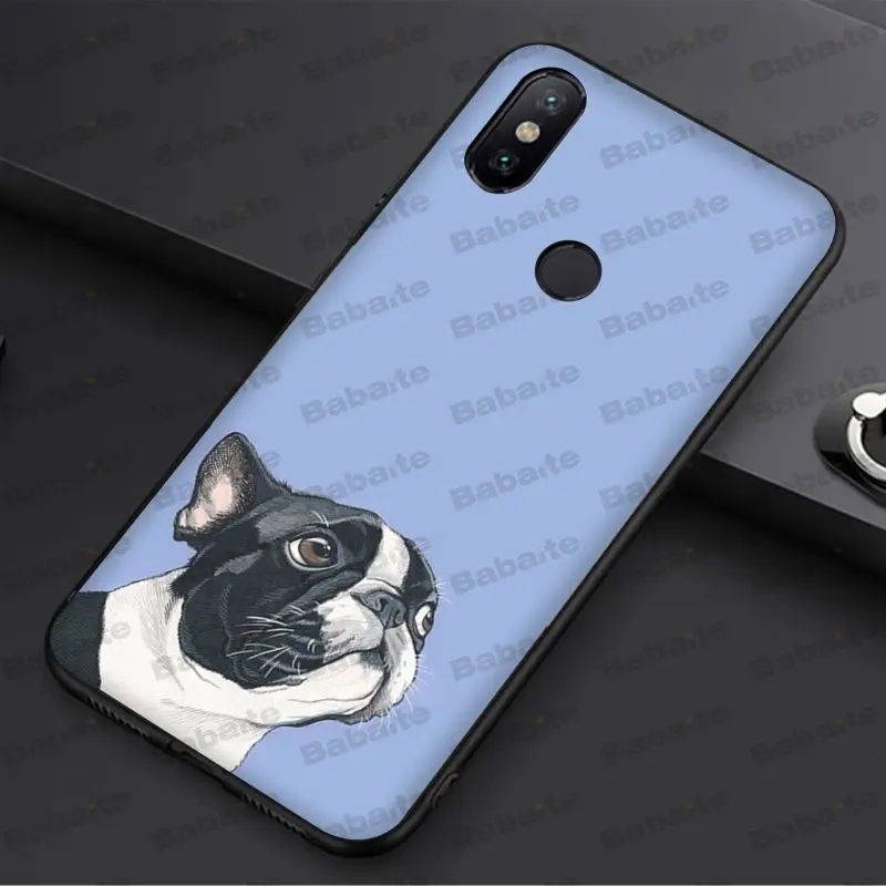 french bulldog dog